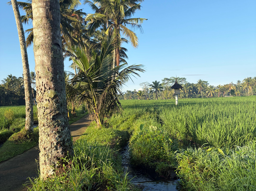 Ellena Hilltop Resort Ubud by Dhananjaya Hospitality