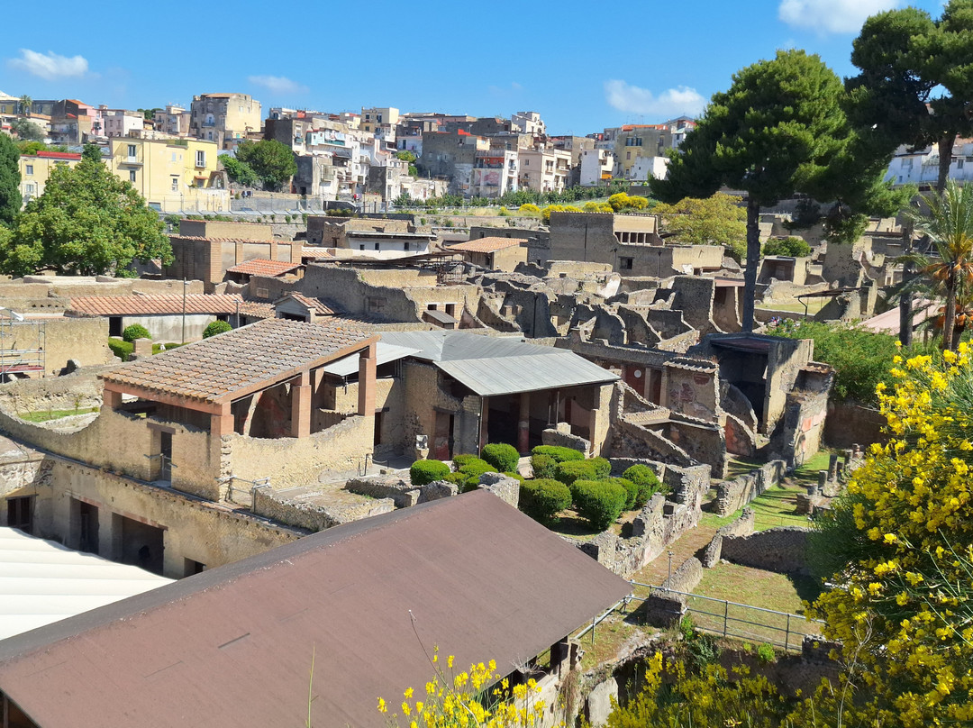 Archeological Park of Herculaneum-埃尔科拉诺必去景点