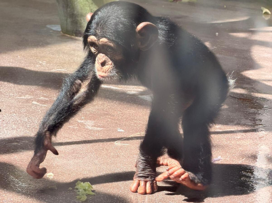 Zoo Basel-巴塞尔必去景点