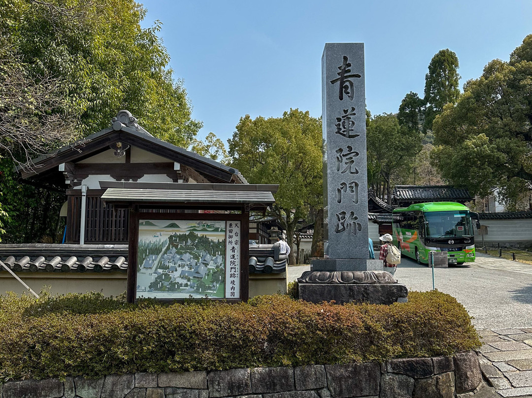 Shorenin Temple-越前市必去景点