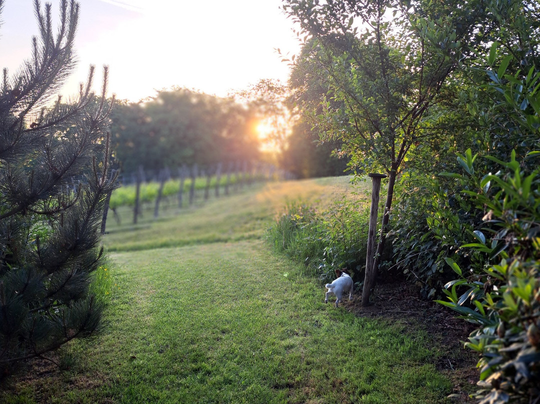 Domaine De Biamont