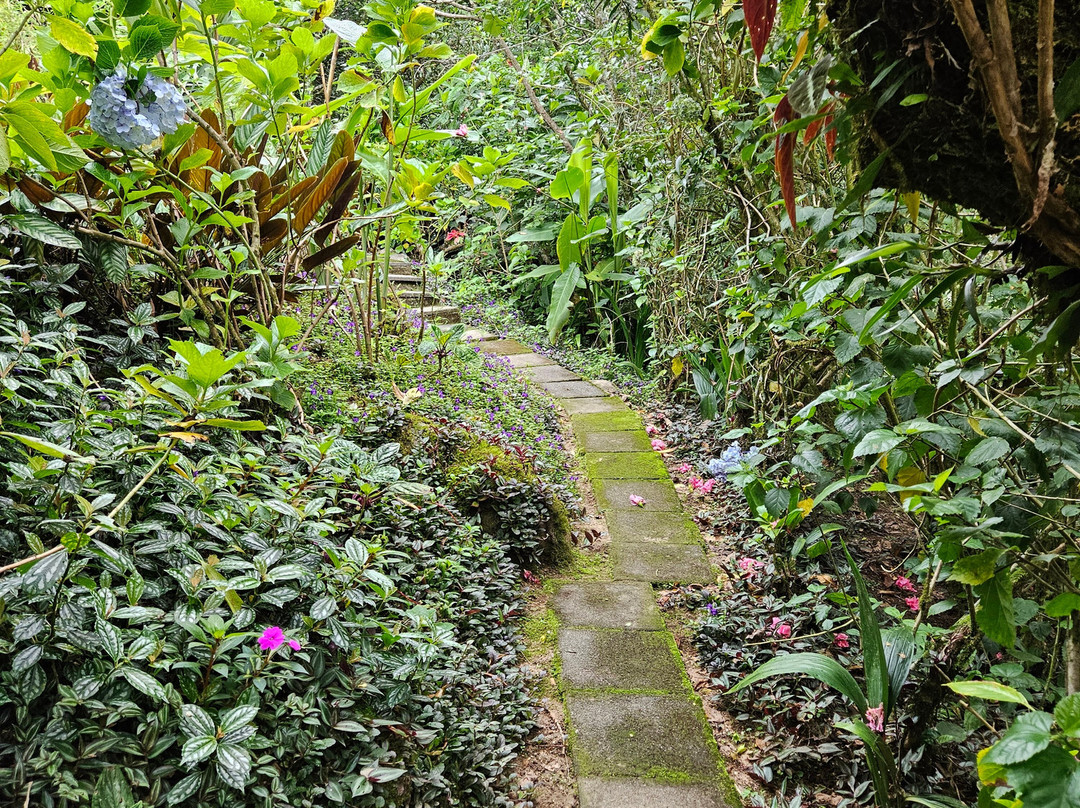 Cloudbridge Nature Reserve-San Gerardo De Rivas必去景点