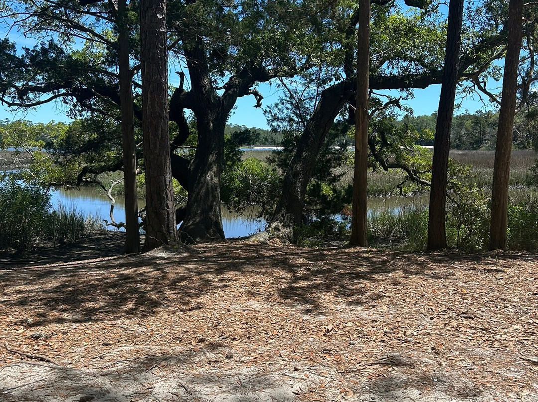 Vereen Memorial Historical Gardens-Little River必去景点