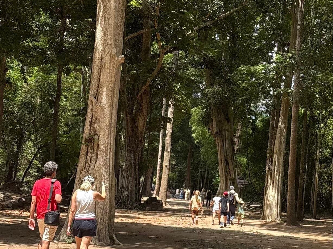 Jimmy  Private Angkor Guide & Driver-暹粒必去景点