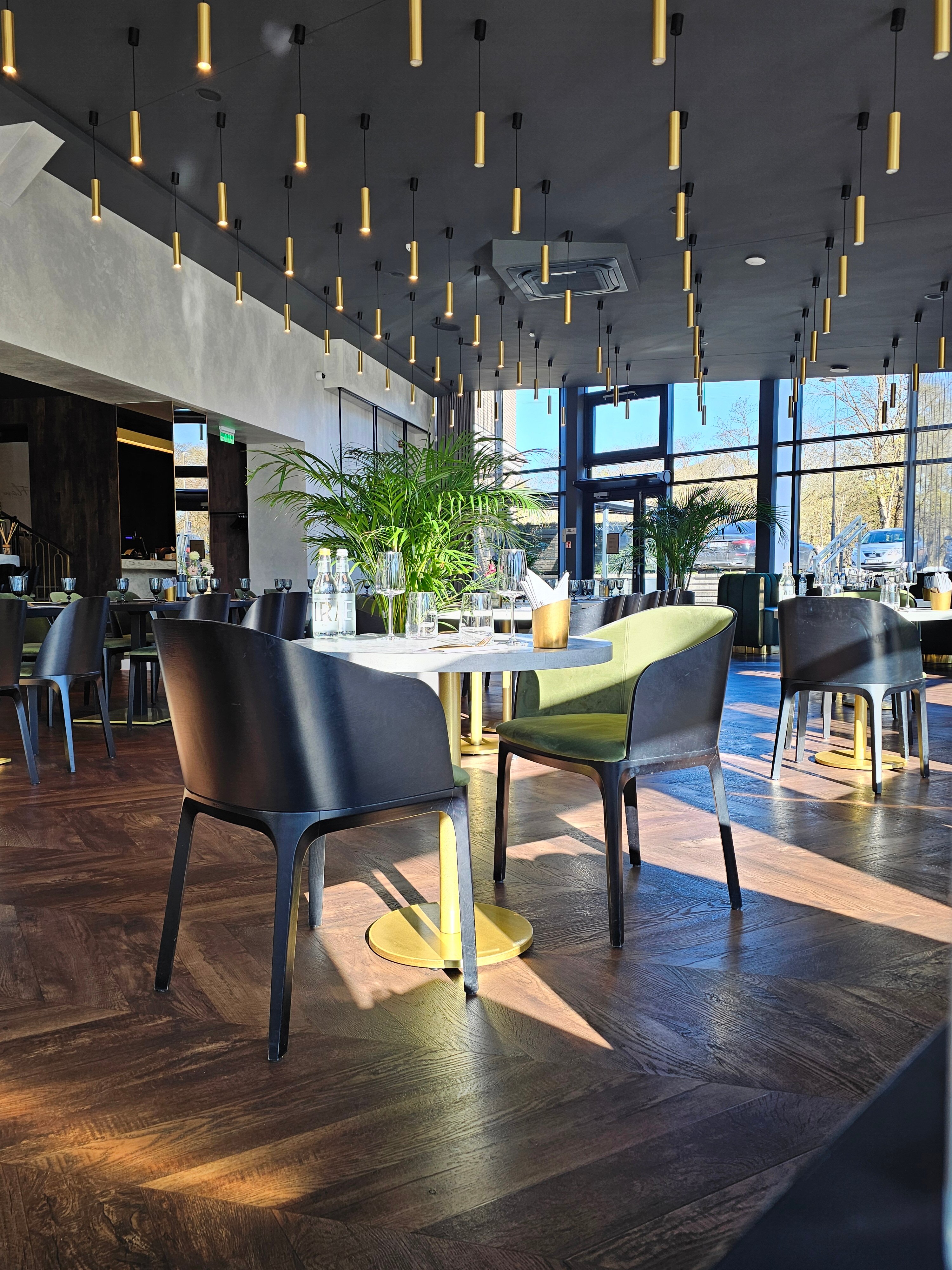 Oginski Hotel-旅行者