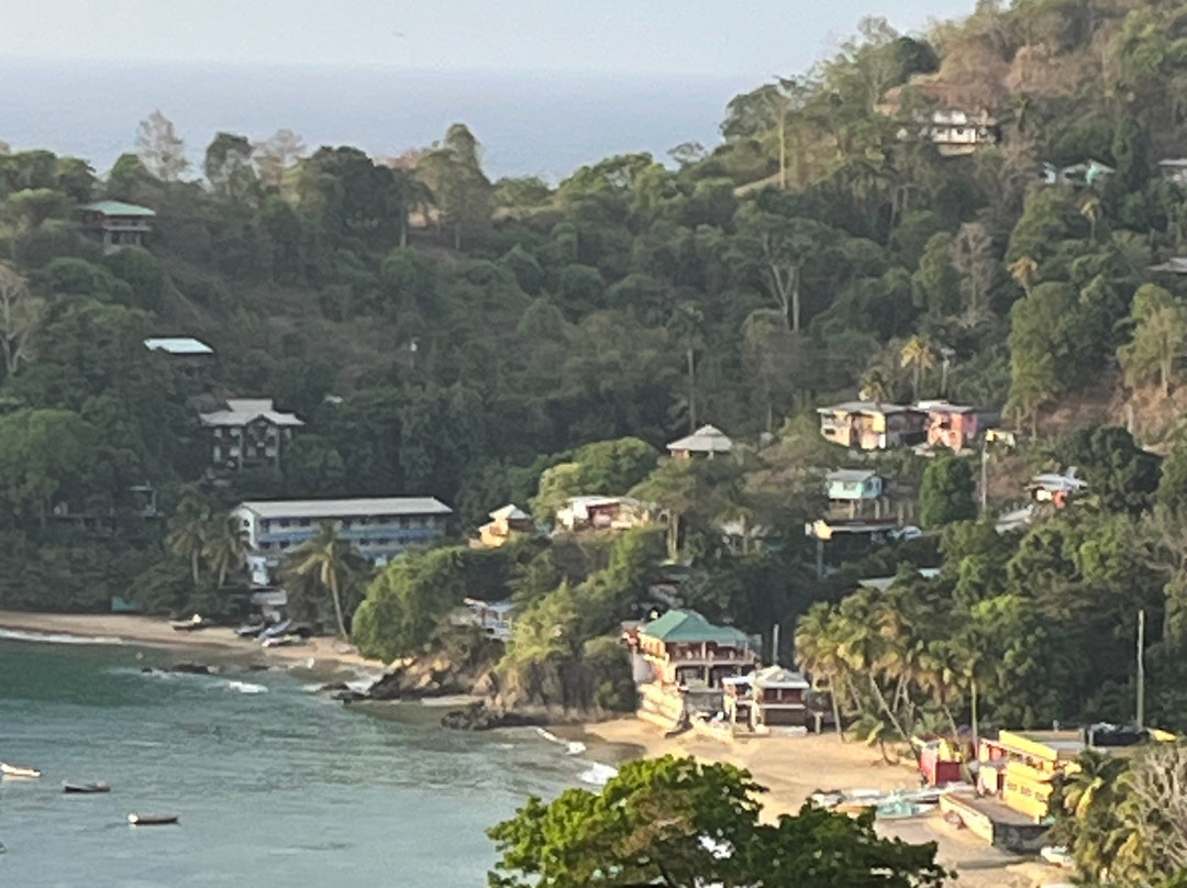 Island Girl Tours-斯卡伯勒必去景点