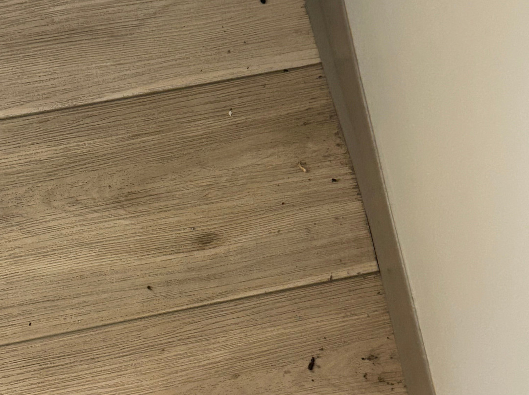 尤瓦尔迪温德姆戴斯酒店主图