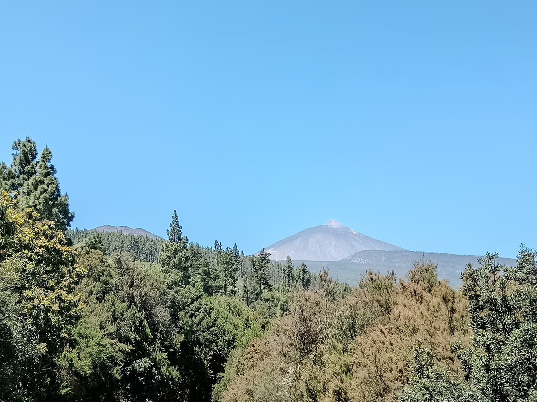 泰德峰火山-特纳里夫必去景点