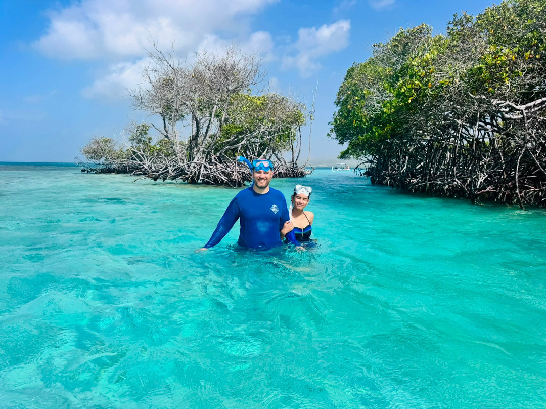 Kayaking Parguera Tours-La Parguera必去景点