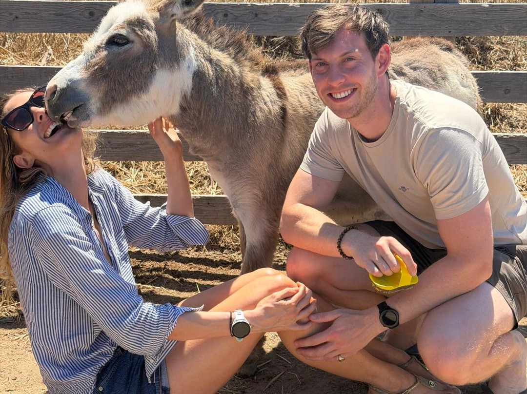 Donkey Farm Milos-Adamas必去景点