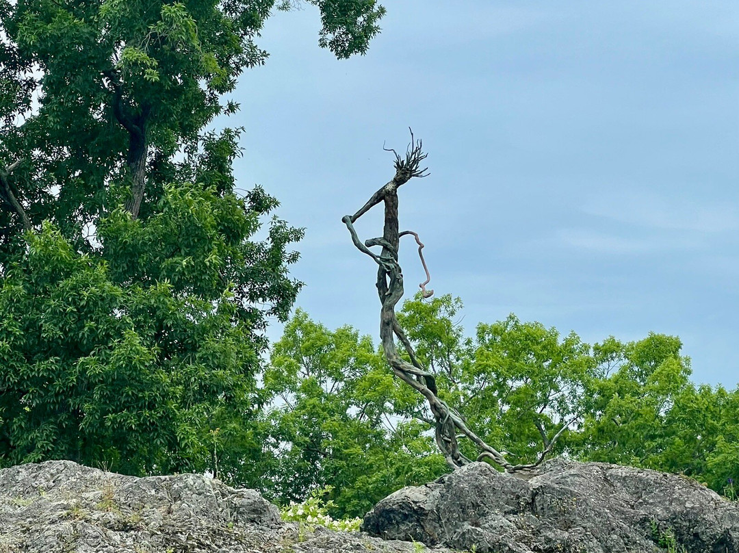 DeCordova Sculpture Park & Museum-Lincoln必去景点