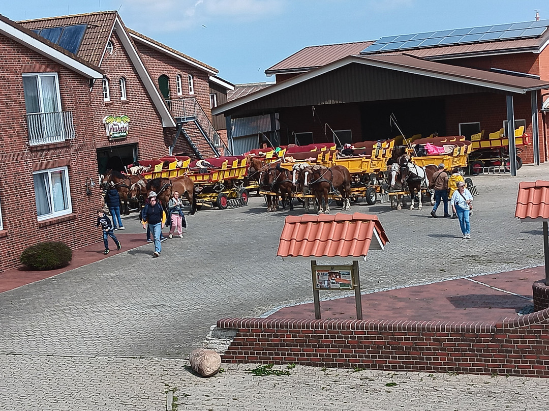 Wattwagenfahrten zur Insel Neuwerk-顿恩必去景点