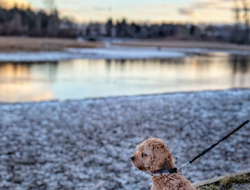 Christie Lake Conservation Area-邓达斯必去景点