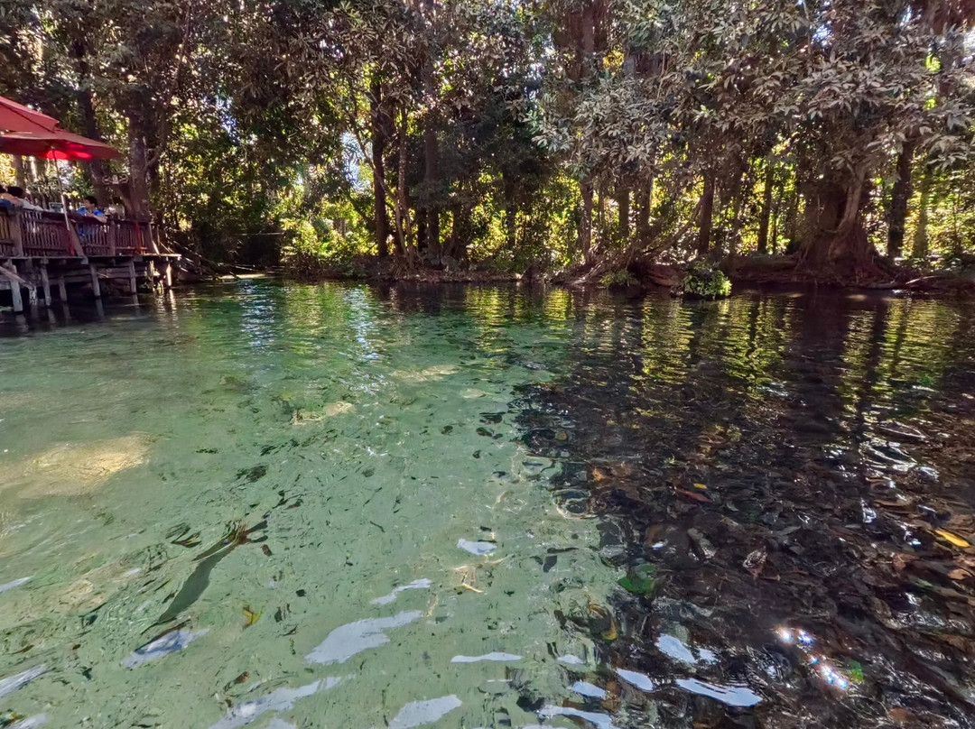 Balneario Estivado-诺布里斯必去景点