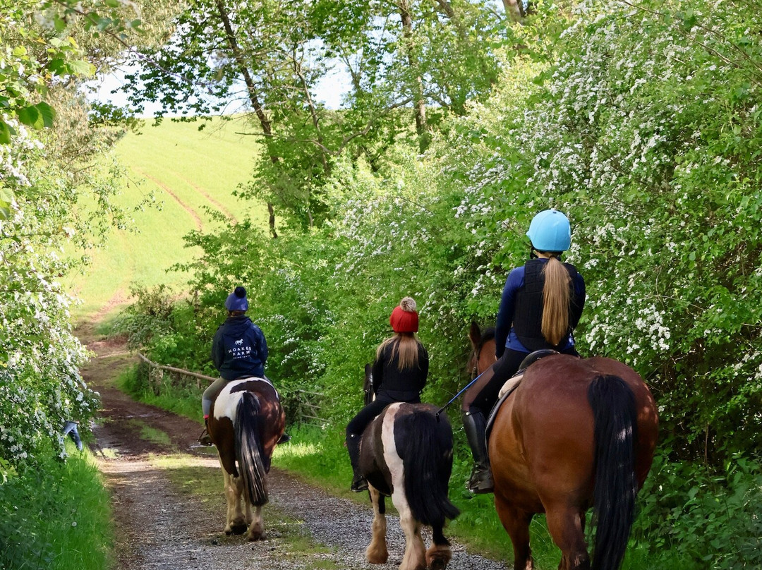 Noakes Farm Riding Centre-Bromyard必去景点
