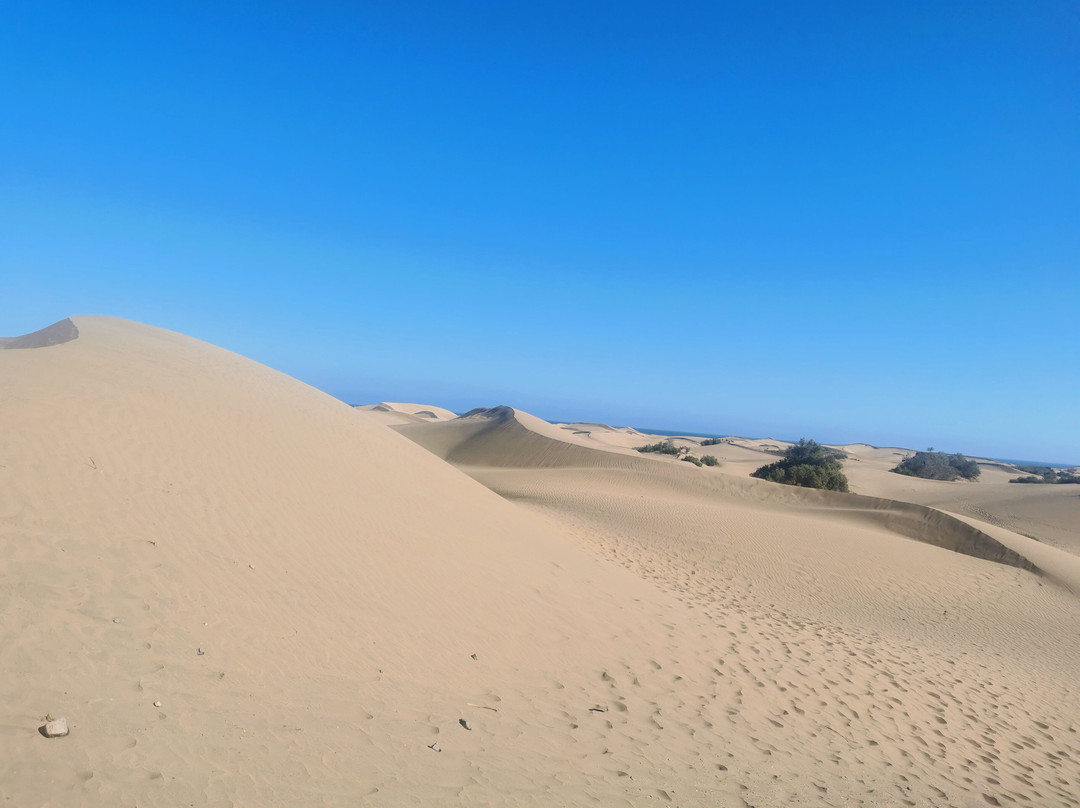 Reserva Natural Especial de Las Dunas de Maspalomas-马斯帕洛马斯必去景点