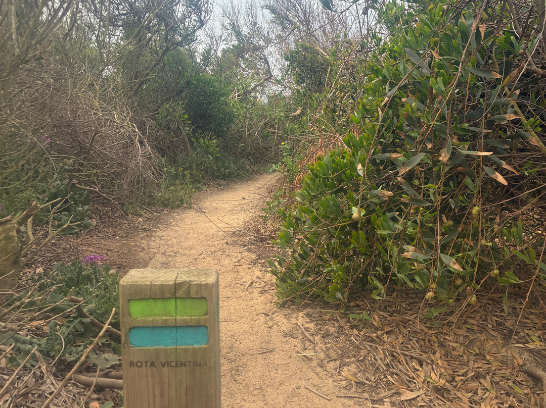 Portugal Nature Trails-辛特拉必去景点