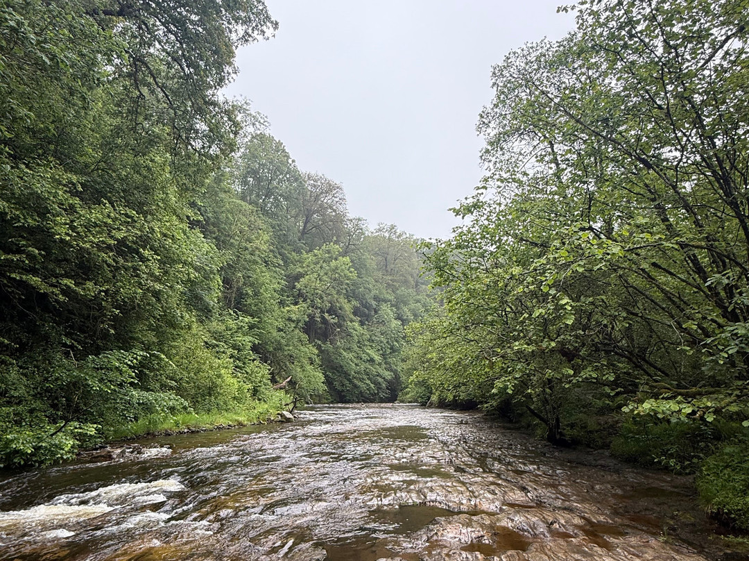 Four Waterfalls Walk-Ystradfellte必去景点