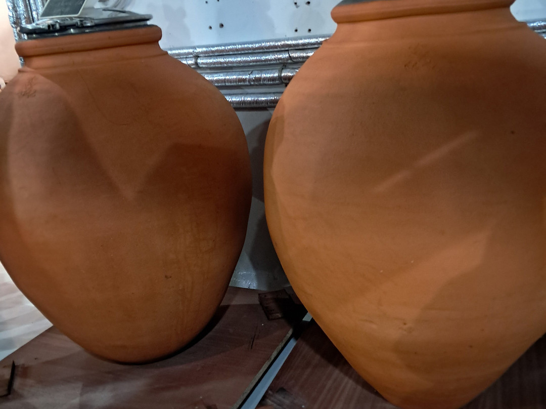 Cordoba Wine Travel-科尔多瓦必去景点