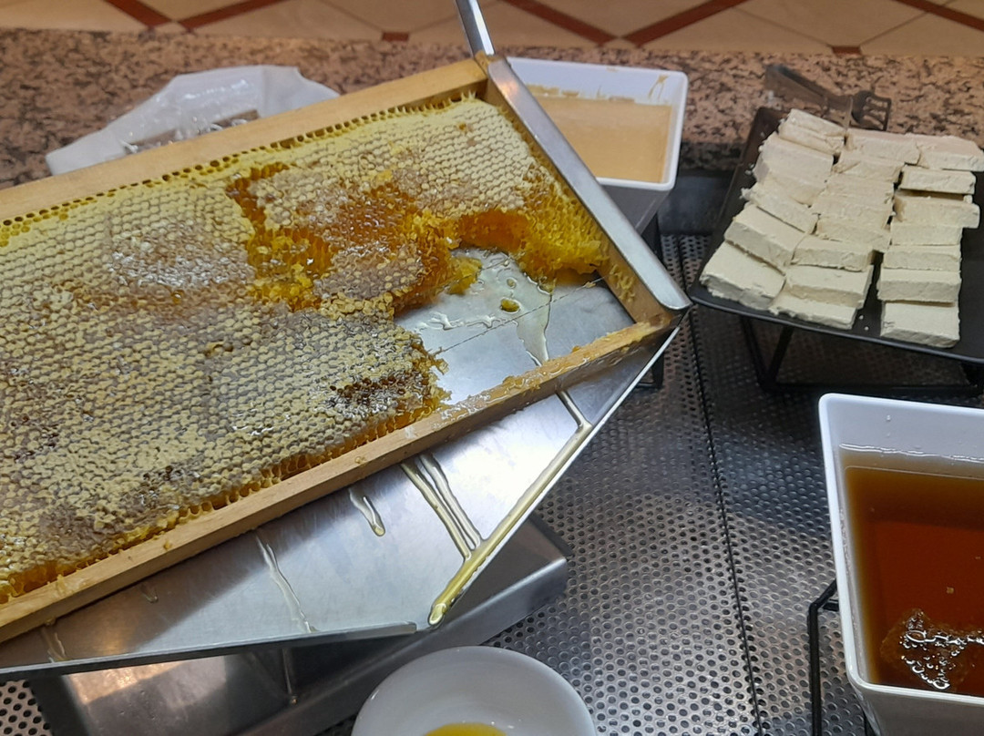 阁楼河滨雅典俱乐部温德姆华美达酒店主图
