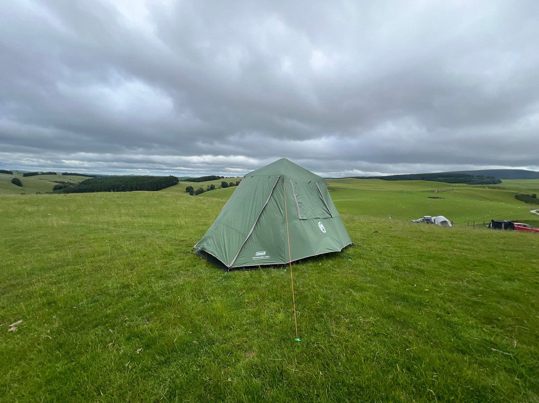 Coco's Wild Camp