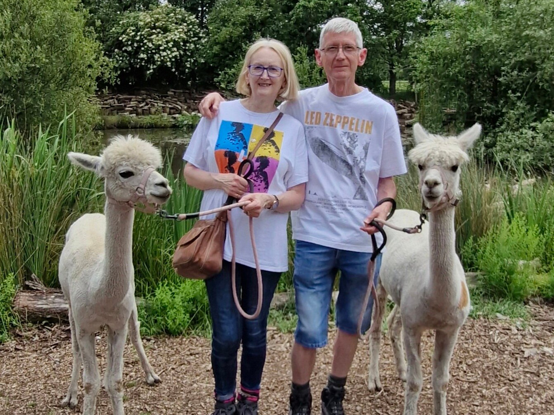 Nanny Sharon's Alpaca Farm C.I.C-Prenton必去景点