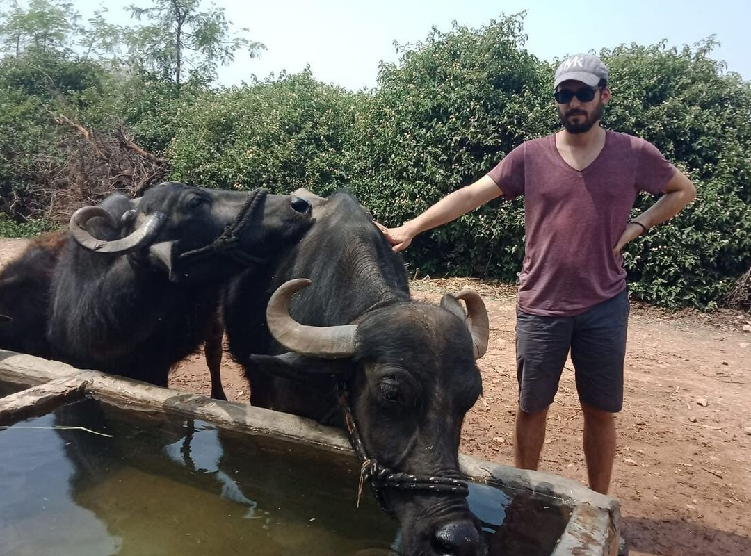 Travel india with Kanha-奇陶加尔必去景点