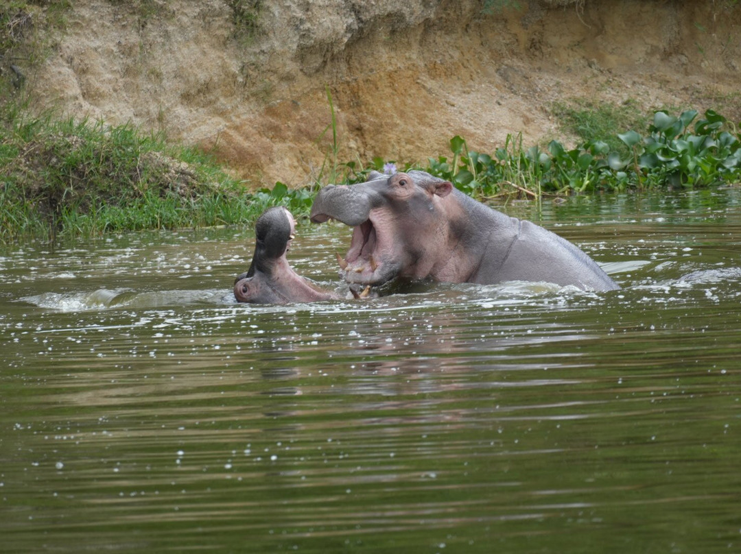 Kisoro Tours Uganda-坎帕拉必去景点