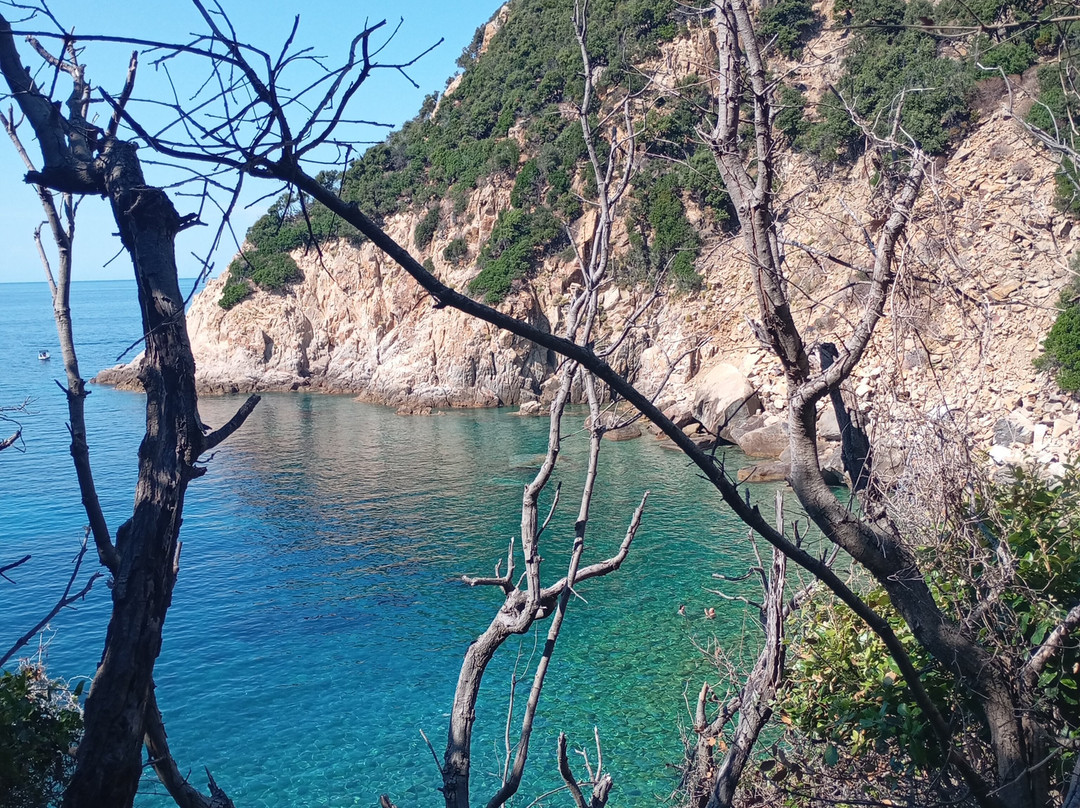 Spiaggia di Ripa Barata-厄尔巴岛必去景点