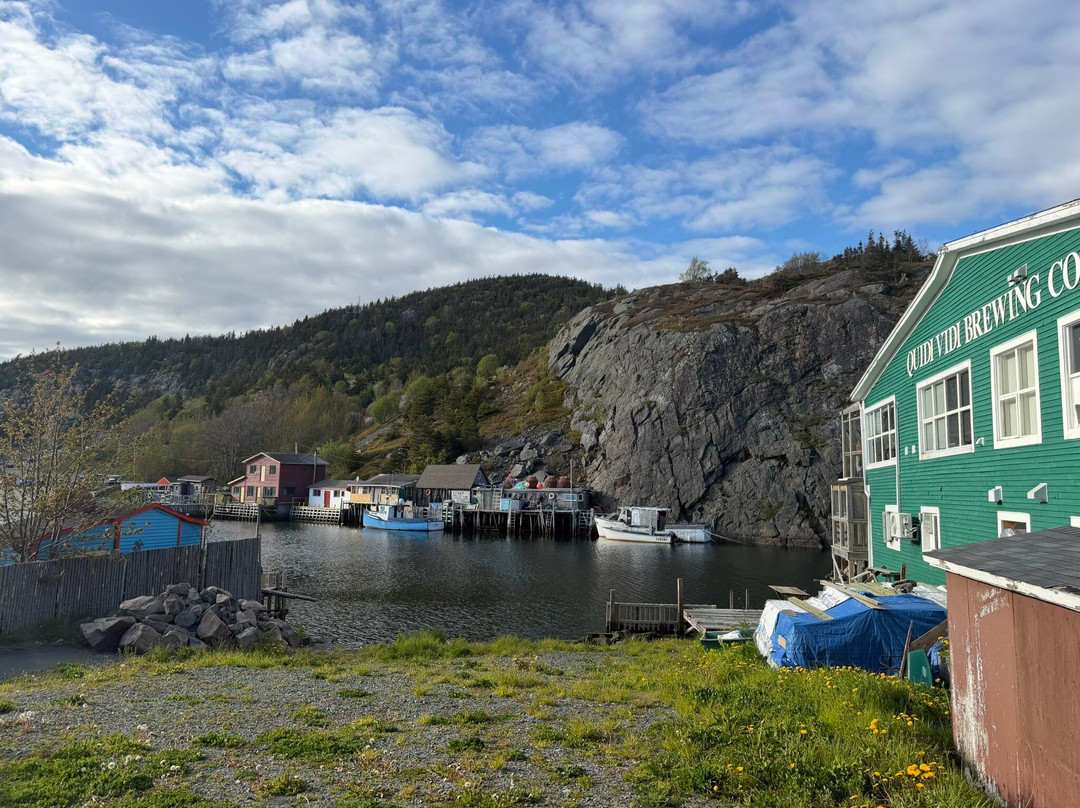 Quidi Vidi Brewery-圣约翰必去景点