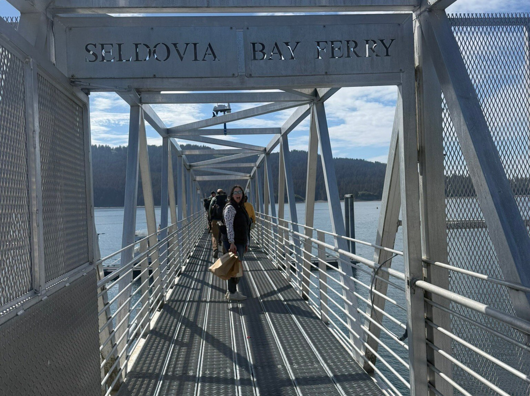 Seldovia Bay Ferry-荷马必去景点