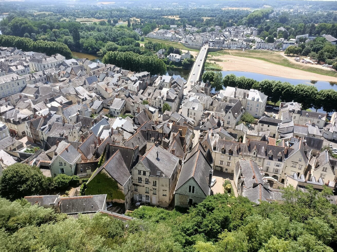 Forteresse Royale De Chinon-希农必去景点