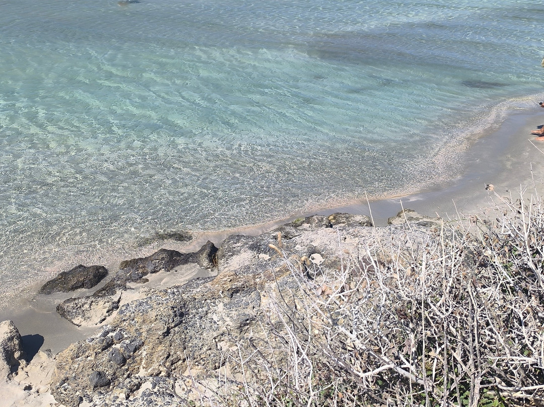 Elafonissi Beach-拉格尼西必去景点