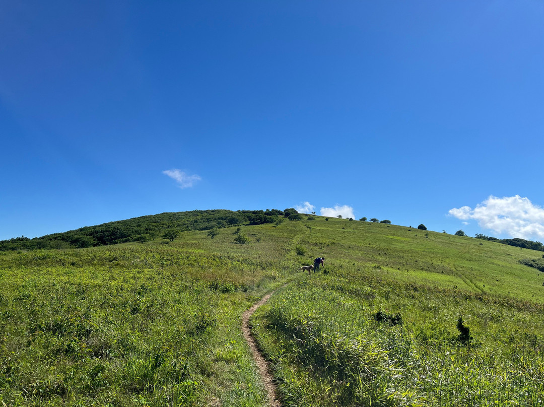 NOLI - Nolichucky Outdoor Learning Institute-Erwin必去景点