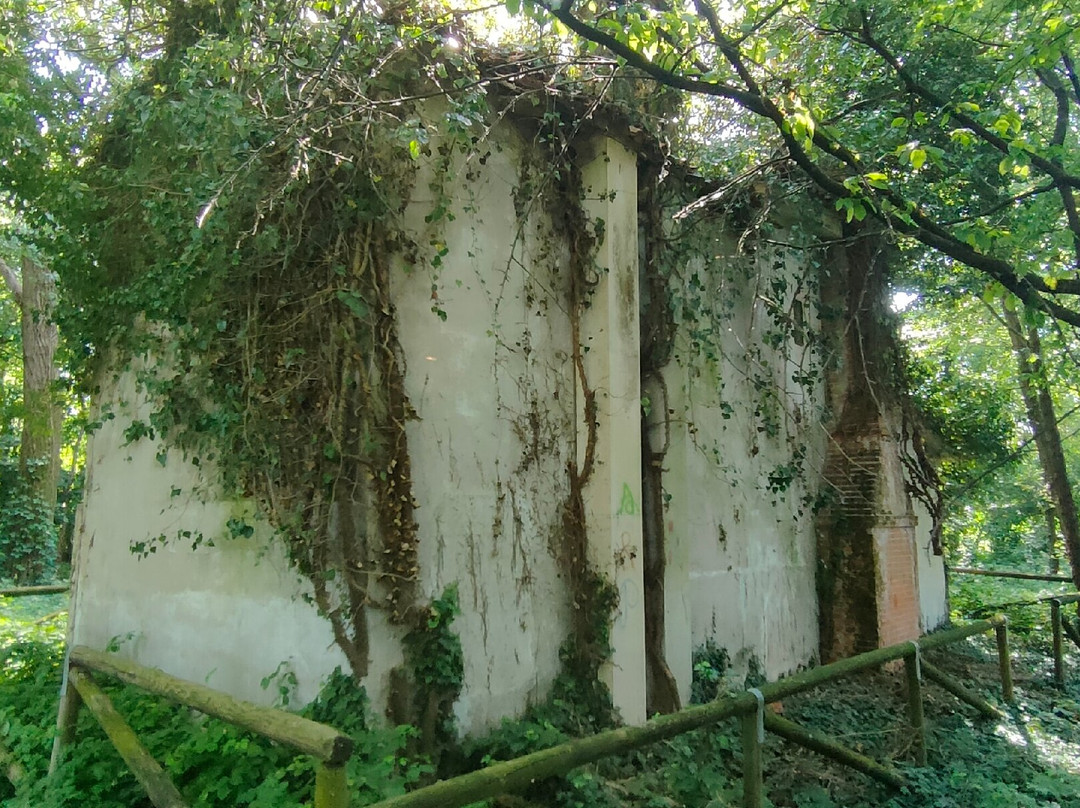 Il Fontanasso dea Coa Longa-Torreselle必去景点