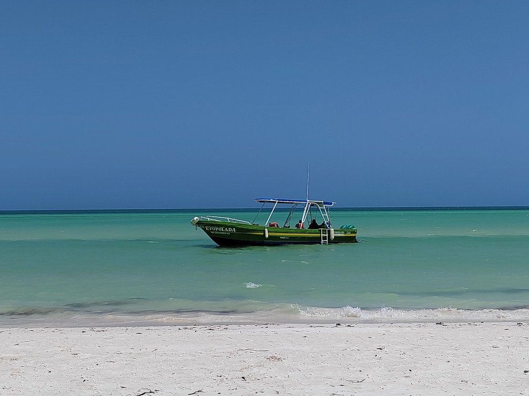 La Tua Vacanza In Messico-Solidaridad必去景点