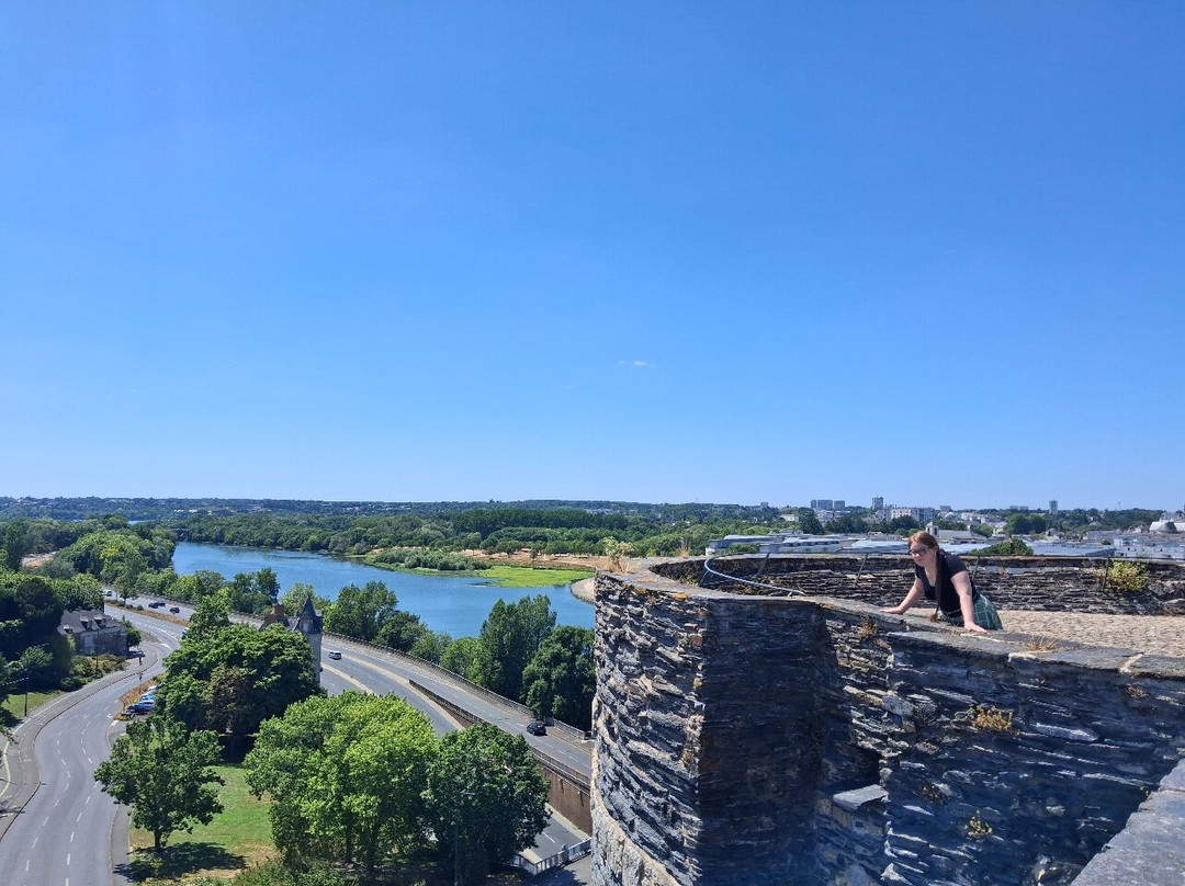 Chateau d'Angers-昂热必去景点