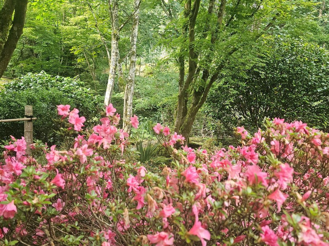 The Japanese Garden-St. Mawgan必去景点