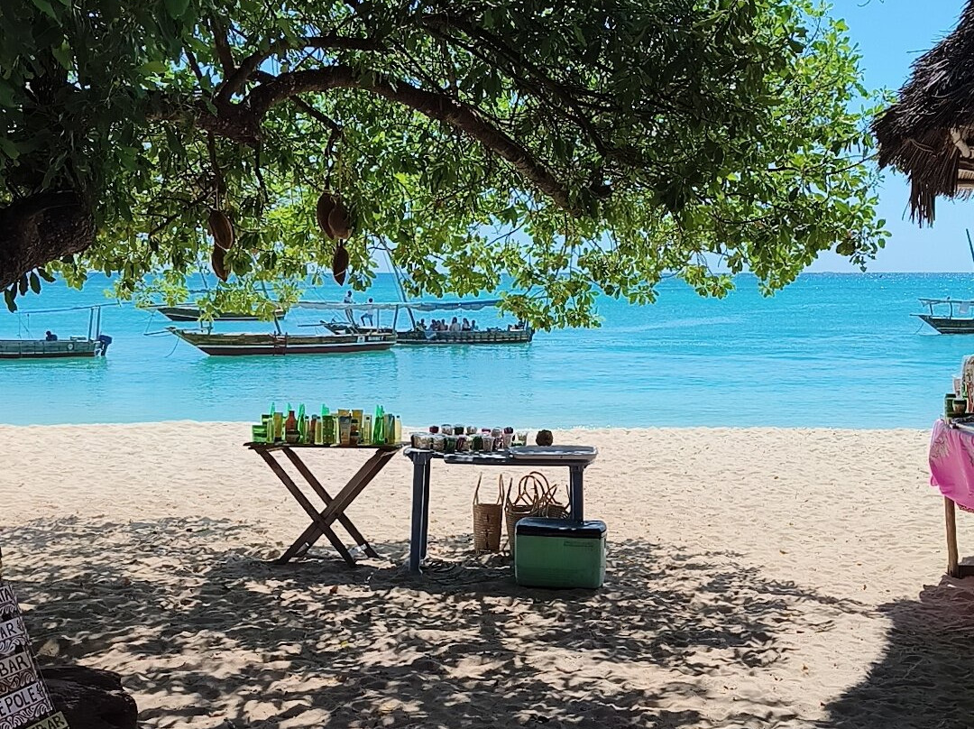 GoSmart Zanzibar Tours & Safari-Kiembi Samaki必去景点