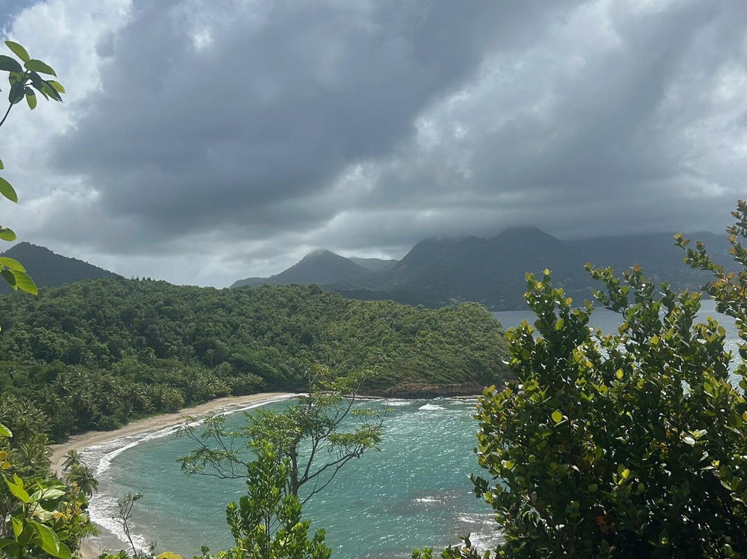 Wanderlust Caribbean Adventure Travel Boutique Hotel主图