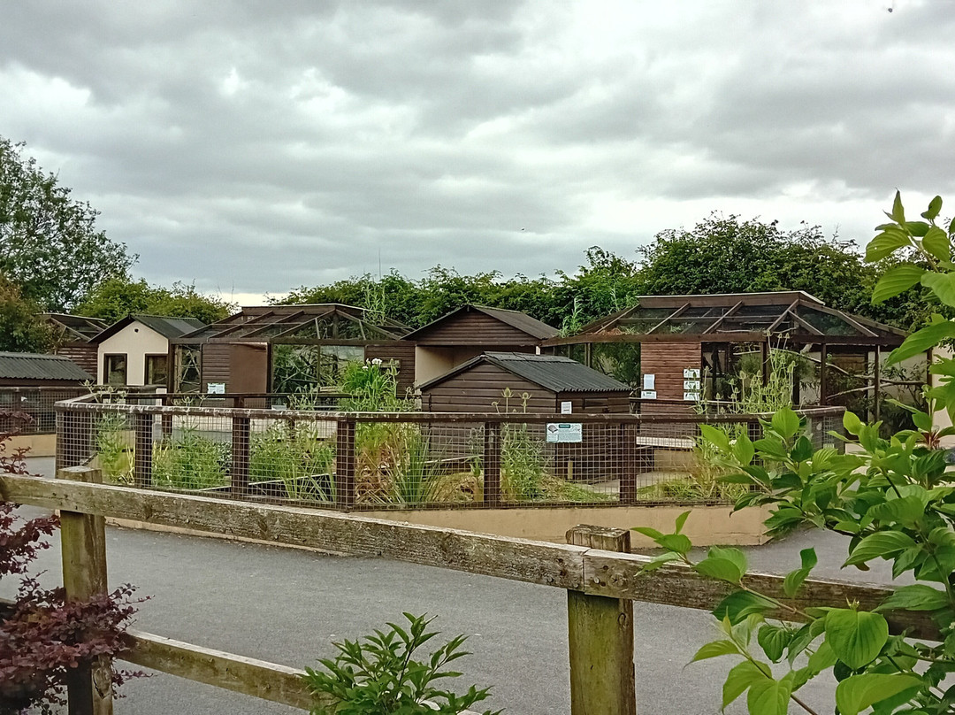 Filey Zoo-Filey必去景点