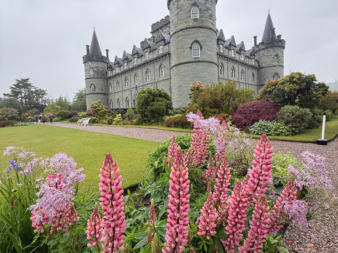 Best Scottish Tours-达农必去景点