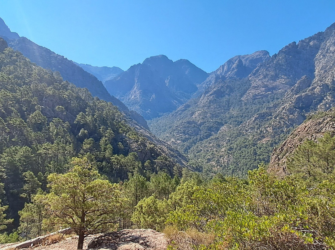 La Forêt De Bonifato-Calenzana必去景点