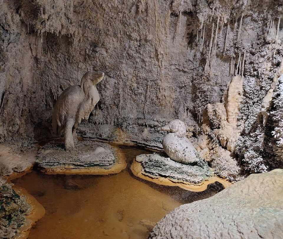 Fontaines Petrifiantes de Saint-Nectaire-Saint-Nectaire必去景点