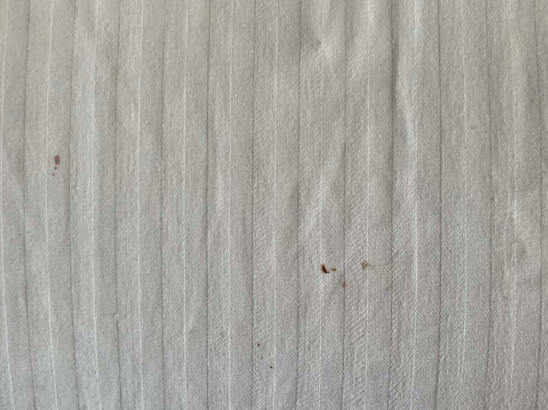 圣路易斯南费斯特斯拉昆塔温德姆套房酒店主图