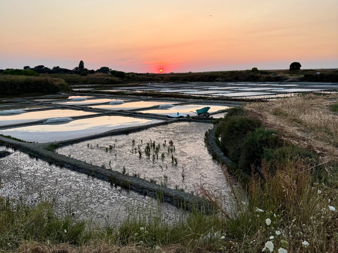 Arc en Sel-Batz-sur-Mer必去景点