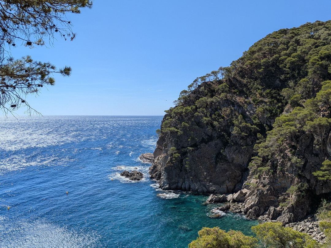 Creative Catalonia - Bike Holidays Girona Spain-赫罗那必去景点