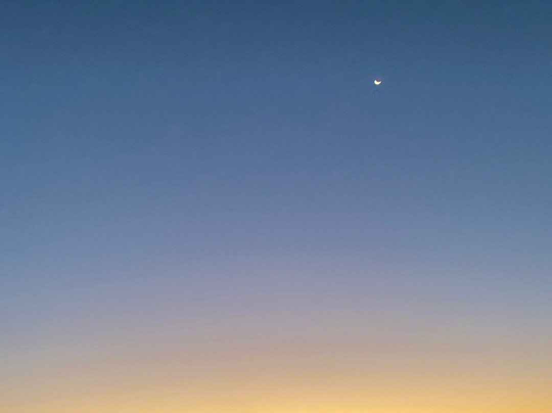 Bedouin Nights Camp-Wadi Rum Village必去景点