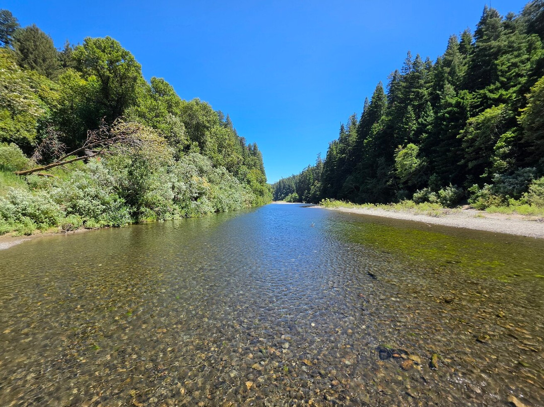 Avenue of the Giants-洪堡县必去景点