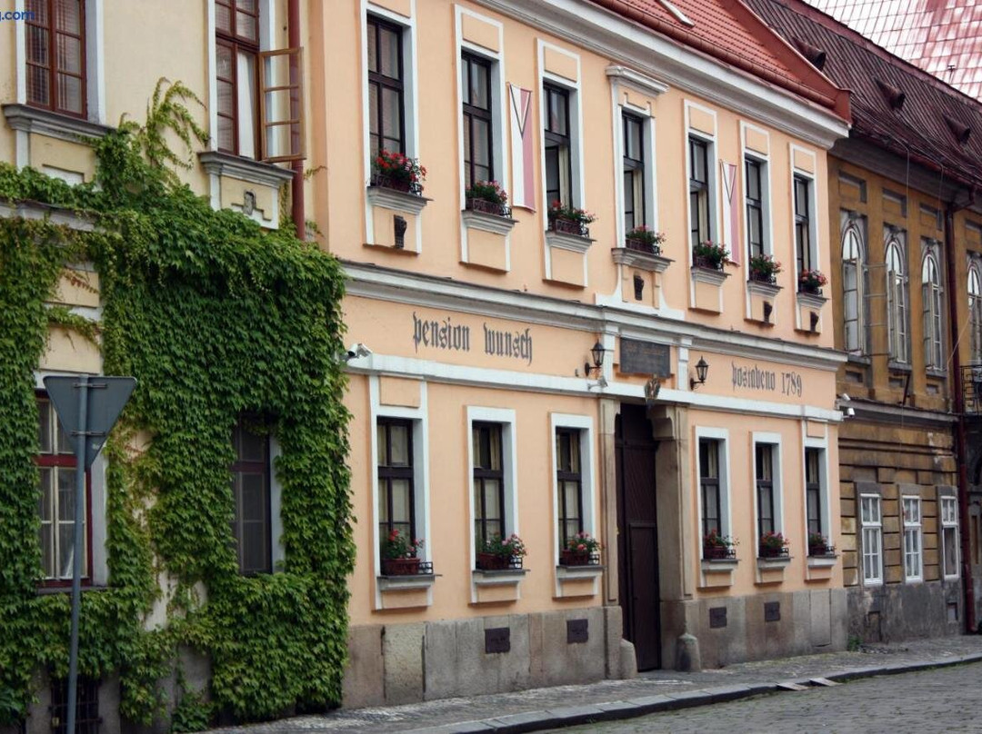 Velichovky酒店住宿-Pension Wunsch